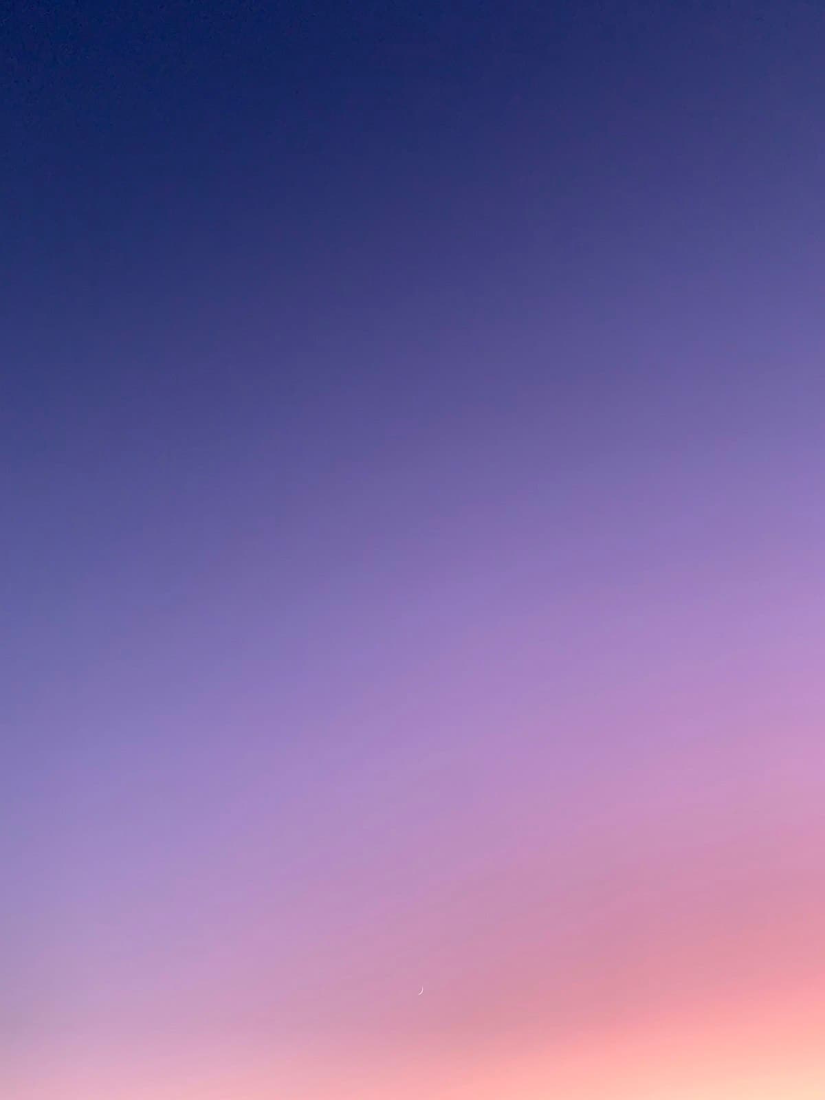 American Universities with Full Scholarships for International Students by State (2026)